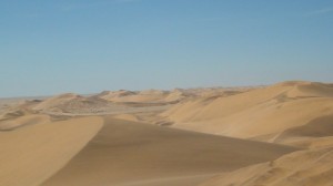 Dune