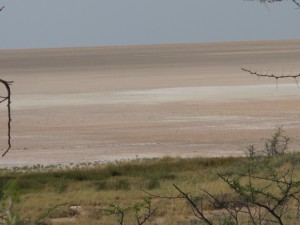 Etosha Pan
