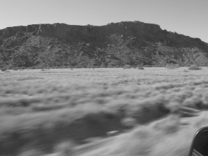 Savana