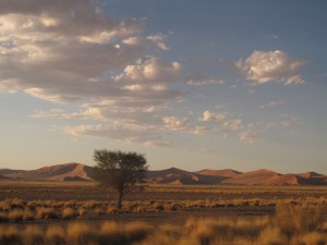 Dune