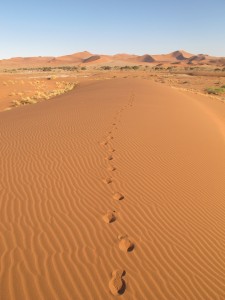 footprints
