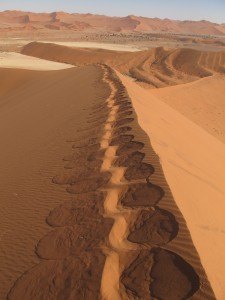 footprints