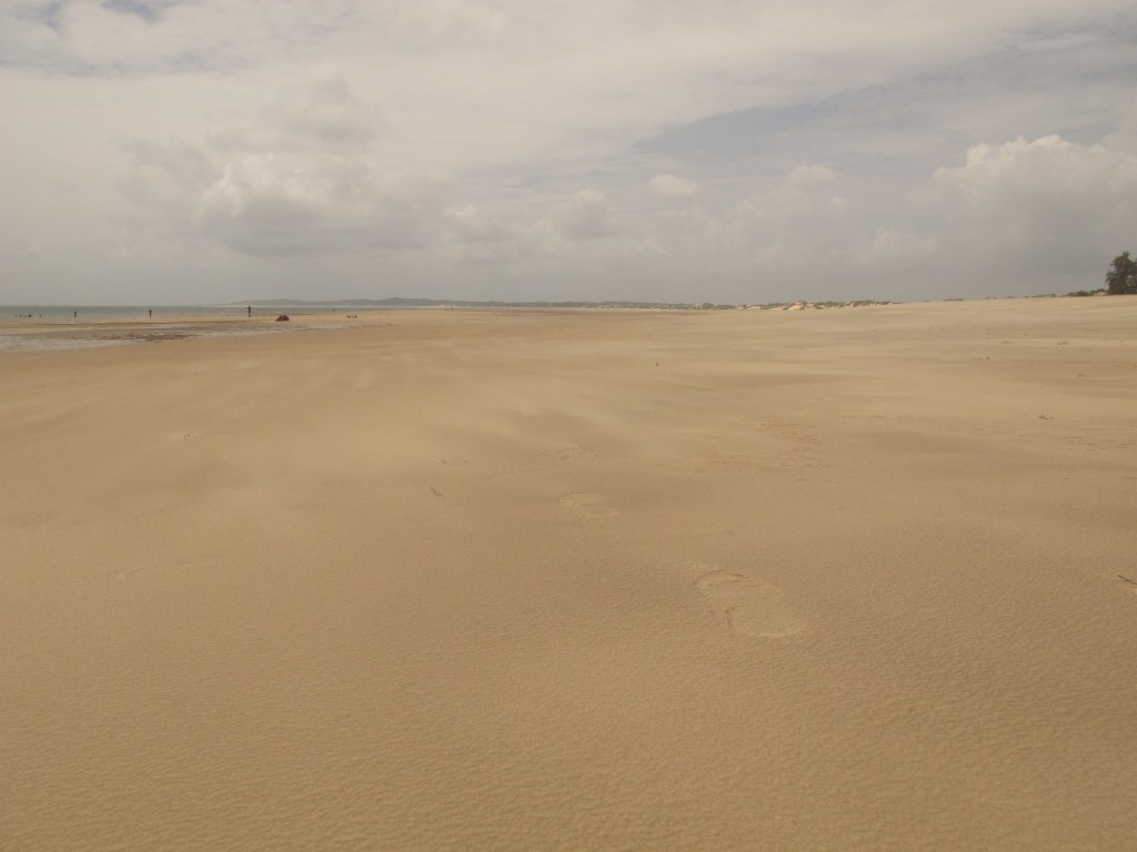 L'immensa spiaggia di Shela durante la bassa marea
