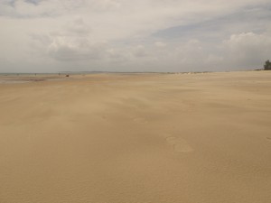 L'immensa spiaggia di Shela durante la bassa marea