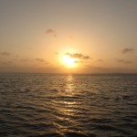 Dhow sunset cruise