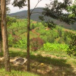 Il paese delle mille Colline: la numero 679