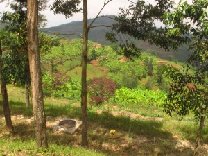 Il paese delle mille Colline: la numero 679