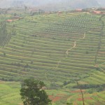 Geometrie agricole