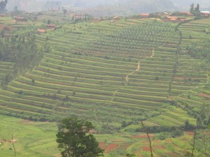 Geometrie agricole