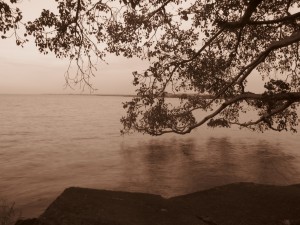 Lago Tana a Bahar Dar