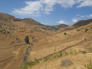First day Simien mountains, Debark Buit Ras